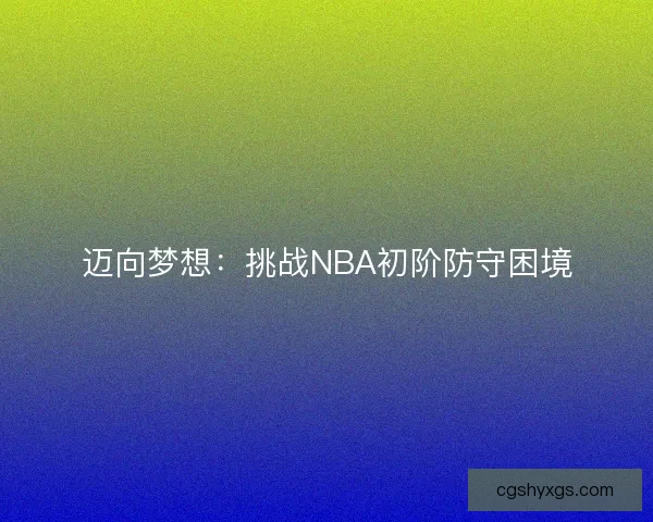 迈向梦想：挑战NBA初阶防守困境