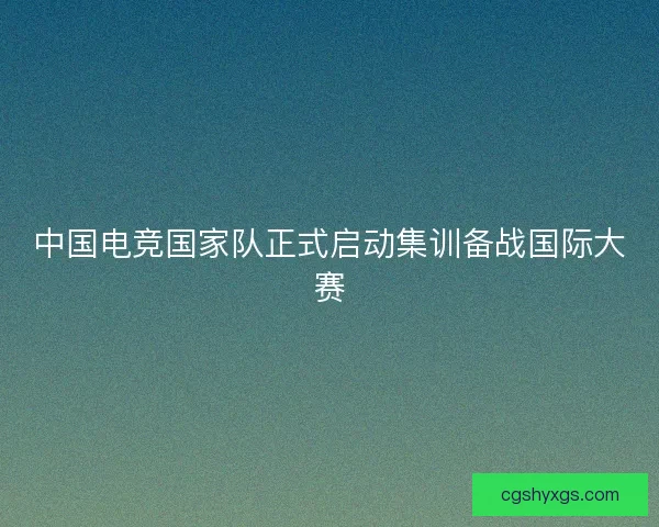 中国电竞国家队正式启动集训备战国际大赛