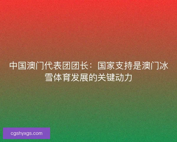 中国澳门代表团团长：国家支持是澳门冰雪体育发展的关键动力
