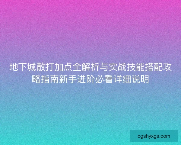 地下城散打加点全解析与实战技能搭配攻略指南新手进阶必看详细说明